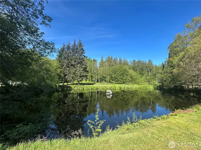 Duck Pond