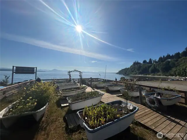 Community Garden