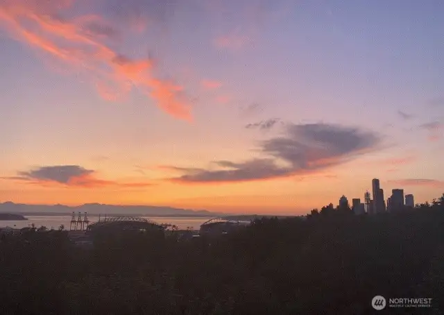Skyline from the Deck