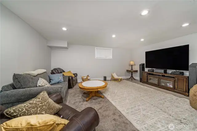 Rec-room on Lower Level