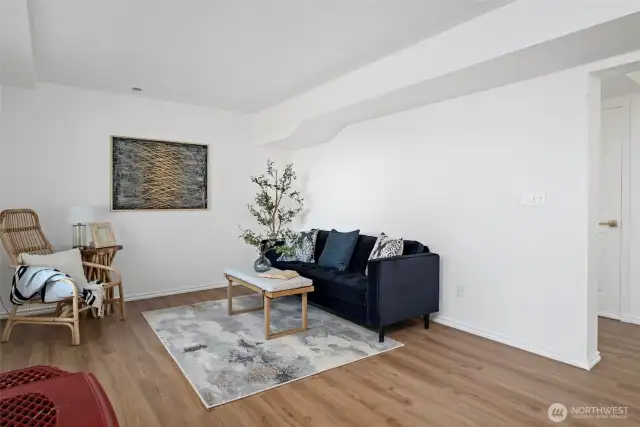 Downstairs family room