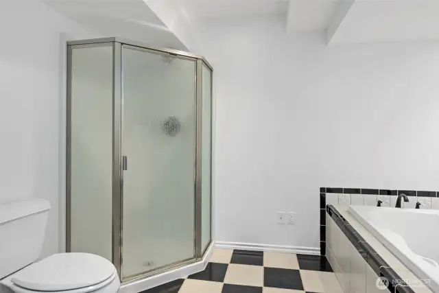 Lower level bathroom also includes a shower.