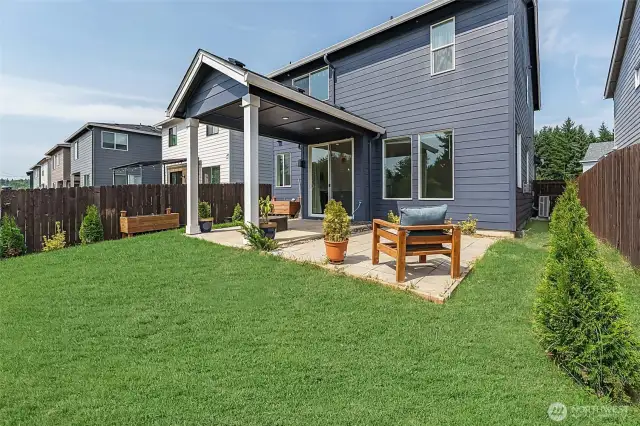 Backyard - Patio