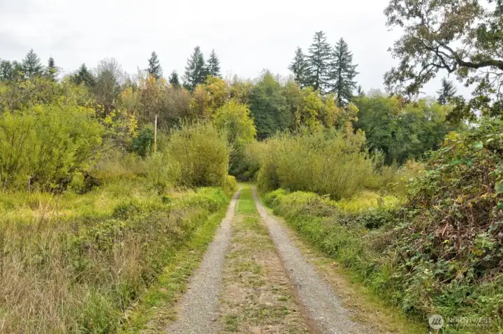 Secluded driveway