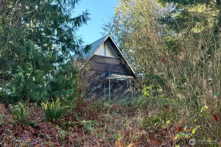 Rear of cabin w/ deck