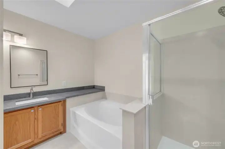 Another view of the primary bathroom with a skylight for natural illumination.