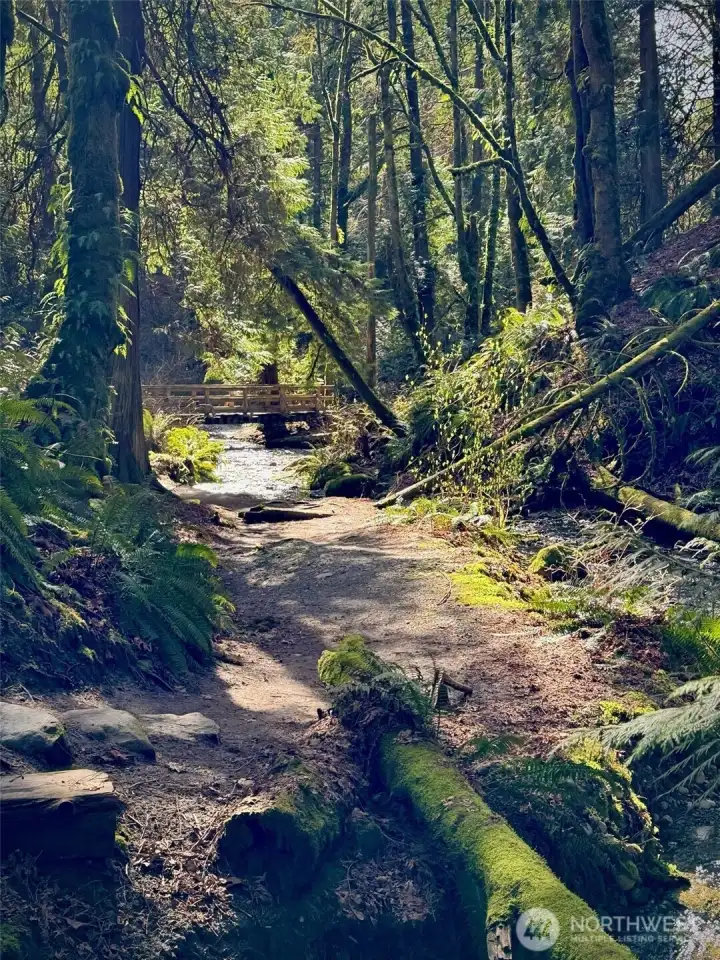 Denny Park Trail close by