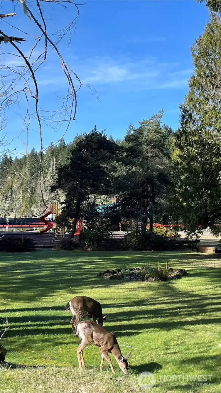 Lake Kokanee residents and playground beyond