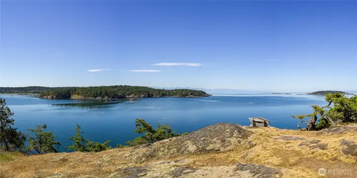 Or zip outside to watch nature at its best from this perch above the bay.