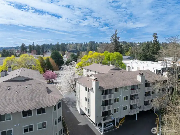 Welcome home to Kenmore by the Lake!