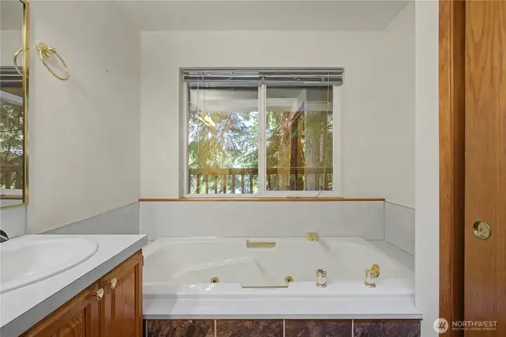 Watch the eagles soar over the lake while relaxing in the jetted tub.