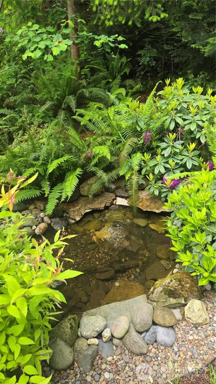 Peaceful pond with waterfall.