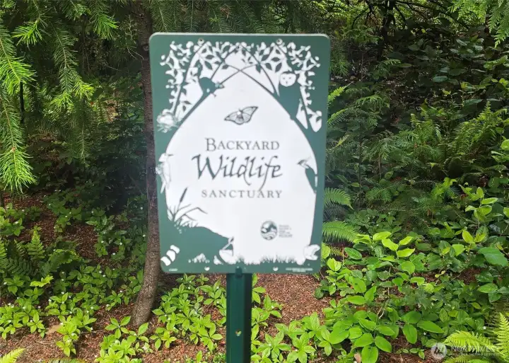 If you love birds and buttlerflies, this is the spot!
