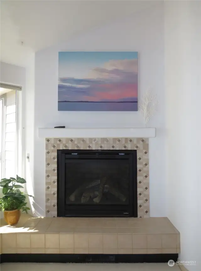 COZY UP TO THE DECORATIVE PROPANE FIREPLACE DURING COOL BEACHY EVENINGS!
