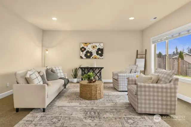 Basement living room