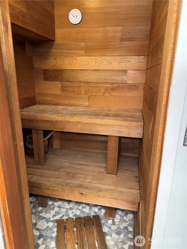 Sauna in the downstairs bathroom