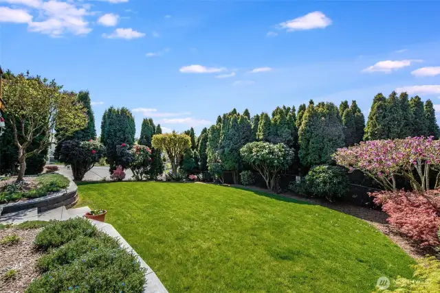 Professionally landscaped private backyard