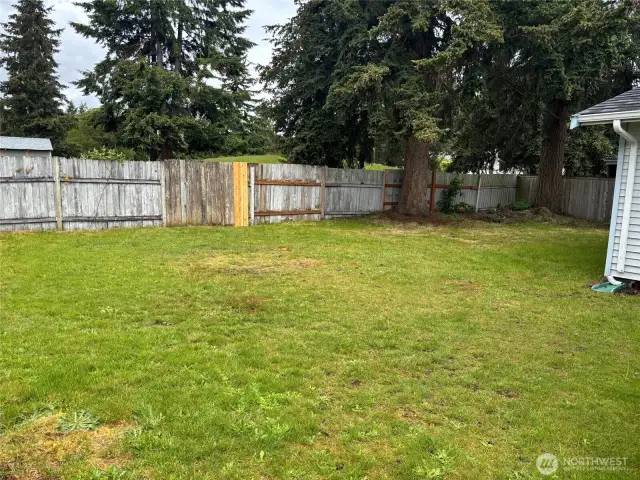 Fenced Back yard