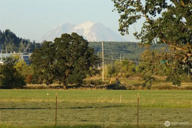 Clear Day view of Mt. Rainier