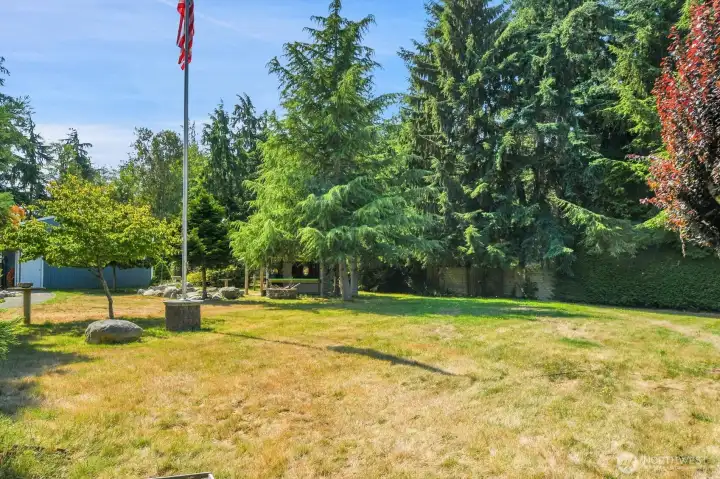 Bradford Pear, in the distance is the casita and fire pit. Plenty of space to play.
