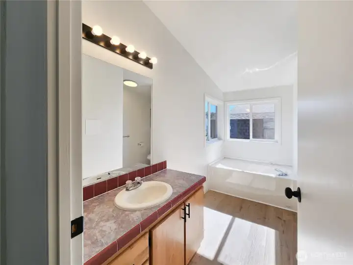 The primary bath is filled with natural light.