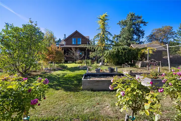 The fully fenced garden offers an array of fruit trees, perennials, hydrangeas, delphinium, foxglove, English roses and raised beds.