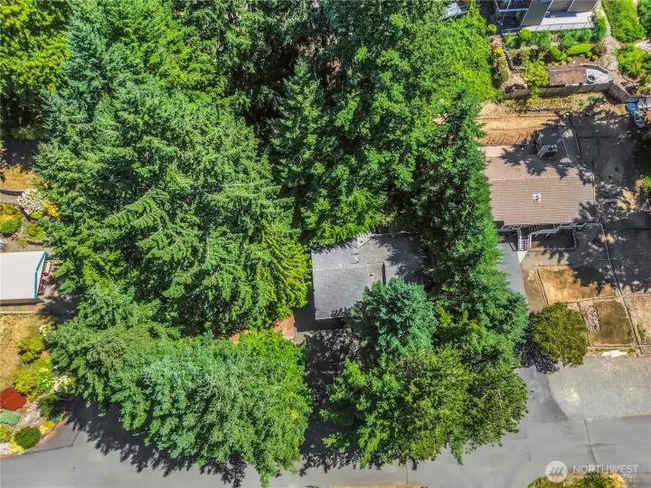 Arieal View of house showing the beautiful tress an seclusion this lot offers.