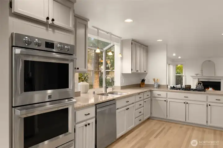 Stainless double oven