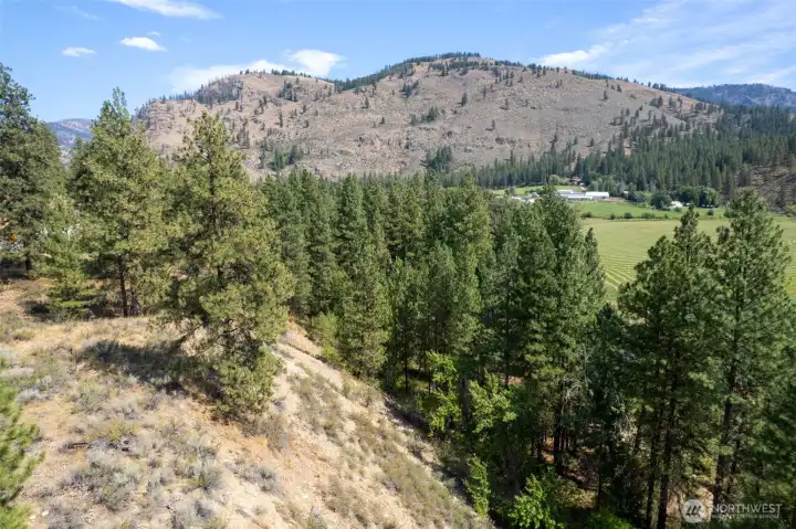 A level bench overlooking the river valley below.