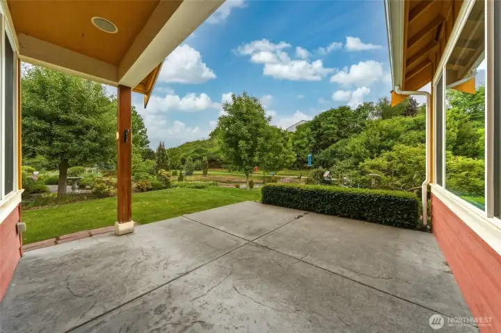 View from back patio