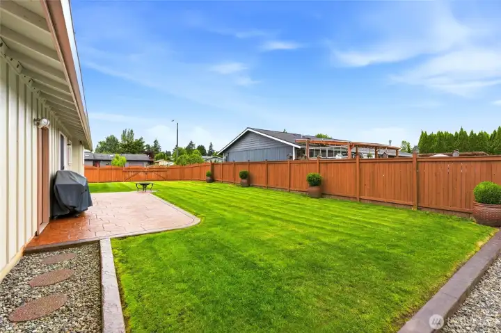 Large Backyard Large Backyard