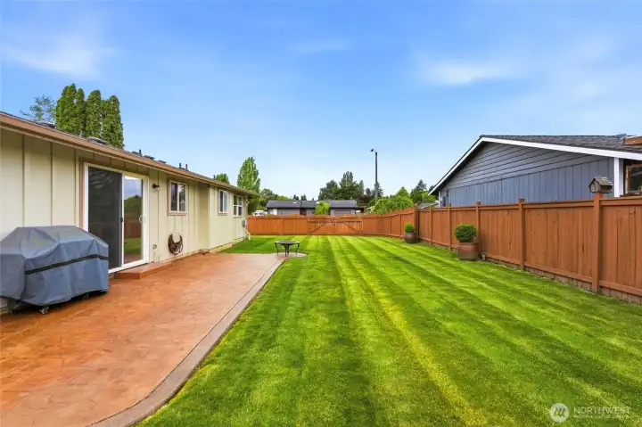 Large Backyard Large Backyard