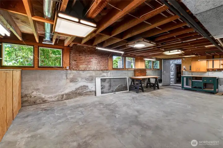 Windows in the Basement