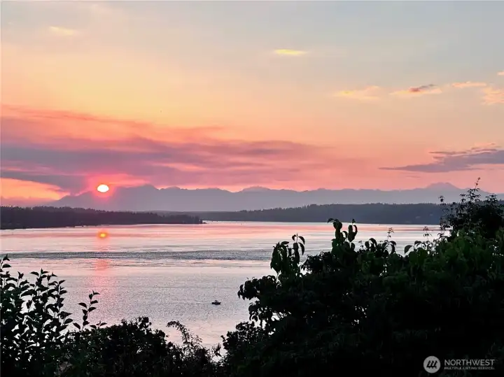 View from the Guest Cottage