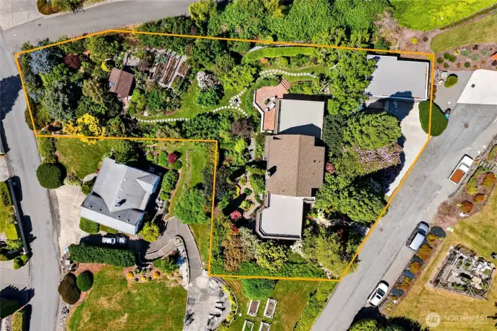 Property lines outlining the half acre on the hill.