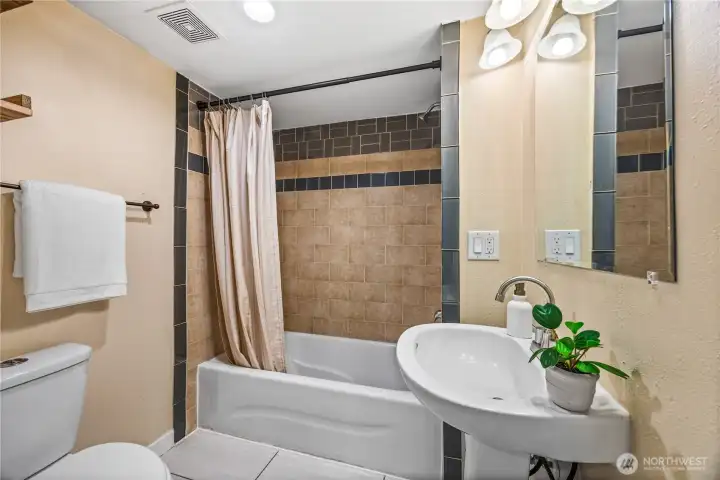 Lower level full bathroom