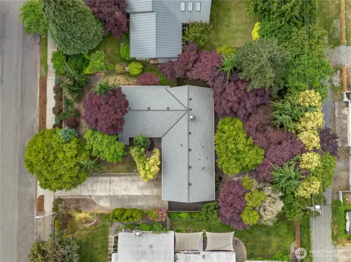 Welcome to 1602 S Winnifred St, a charming West End rambler offering easy single-level living in one of Tacoma’s most convenient locations. Welcome to 1602 S Winnifred St, a charming West End rambler offering easy single-level living in one of Tacoma’s most convenient locations.