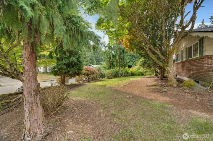 Mature trees and established plantings continue into the front yard, creating a welcoming first impression. Mature trees and established plantings continue into the front yard, creating a welcoming first impression.
