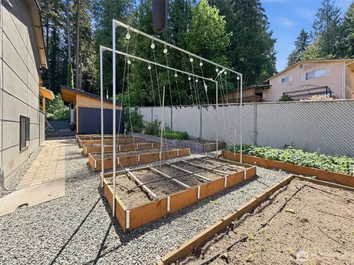 Established garden beds ready for growing flowers, herbs, or produce.