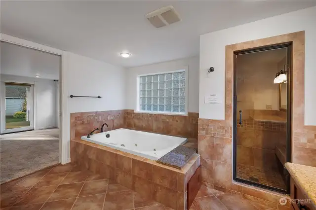 Bonus - Jetted Tub and Steam Shower!