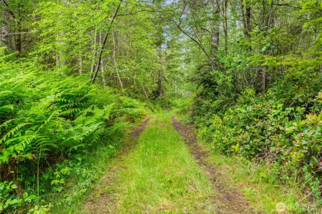 This is after the gate you can drive into the property, turn around would be all the way at the end
