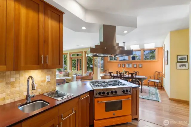 It would be fun to cook and entertain from this wonderful space. Everyone would be included.  On the left you see a small prep sink and in counter steamer.