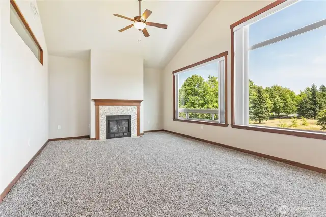 New Carpet