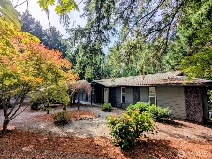 The view from the front is deceptive; there is a lot of house and yard not visible from the street.