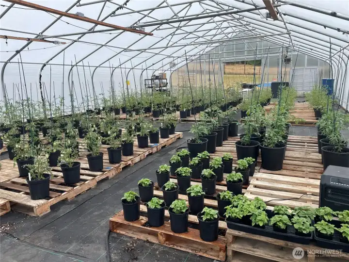 Commercial 30x60 greenhouse