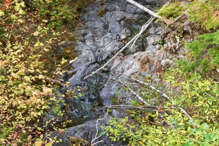Turner Creek during late Summer with a gentle trickle