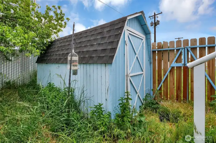 Backyard shed