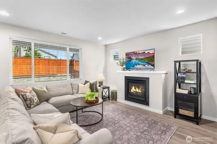Gas fireplace