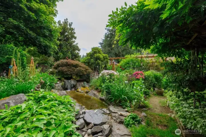 Water feature in the backyard.