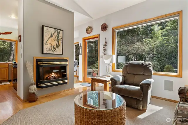Family room with propane fireplace